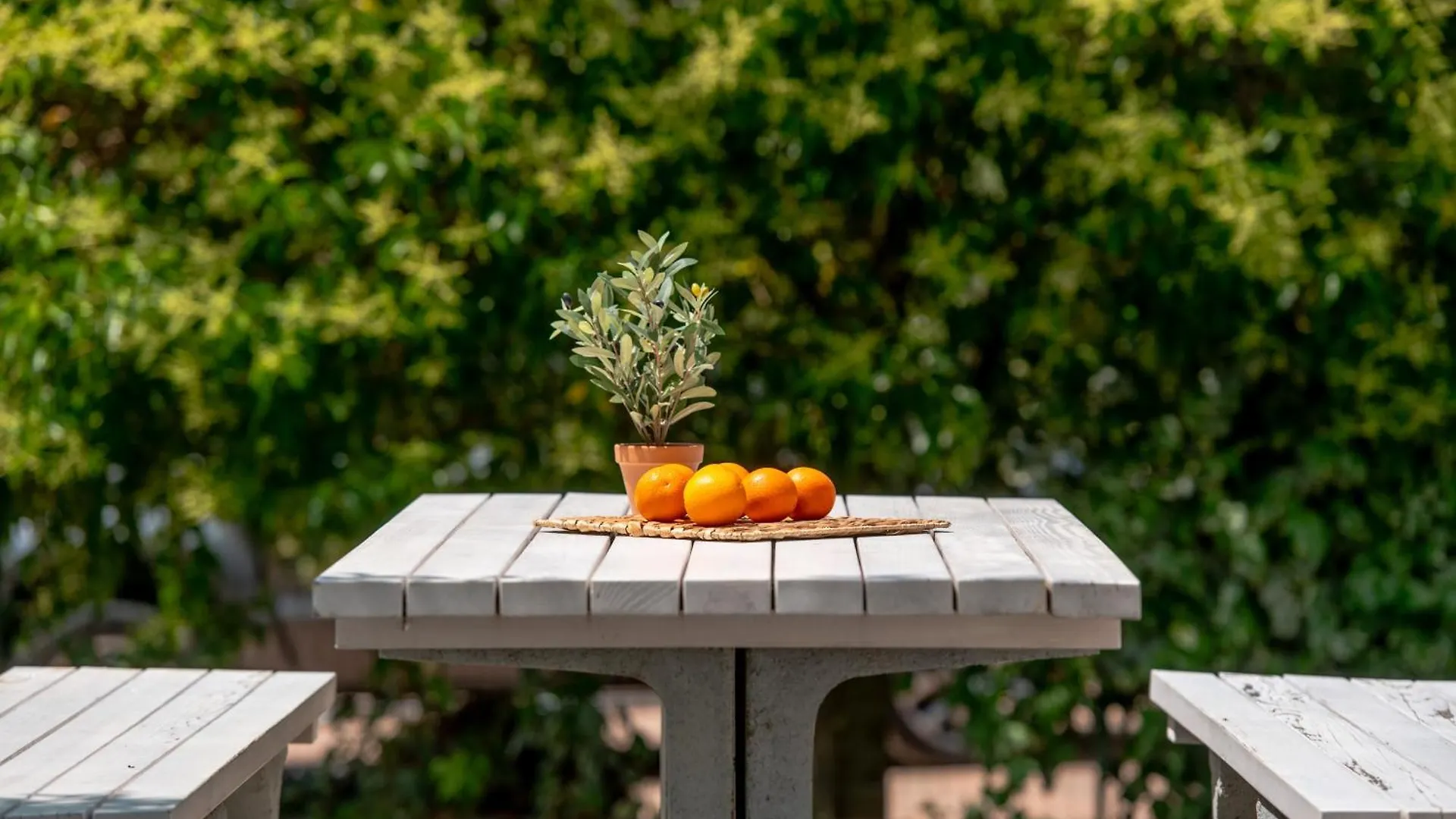 Apartments Grota Porec Croatia